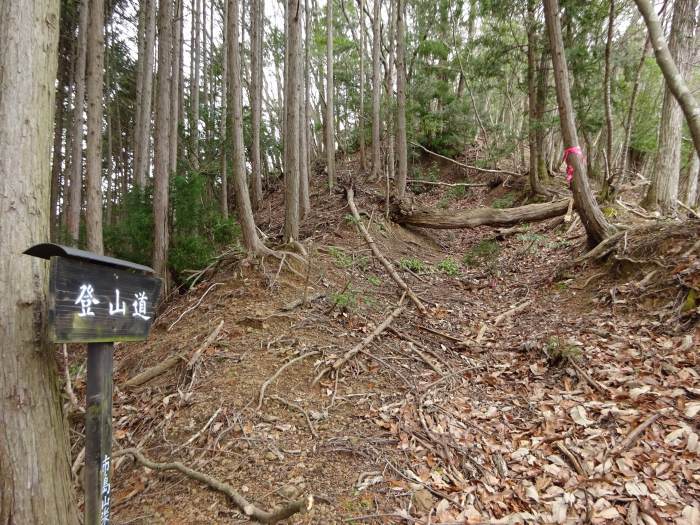 丹波市市島町/虚空蔵山