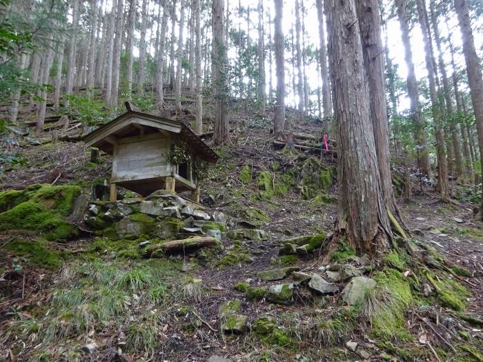 丹波市市島町/虚空蔵山