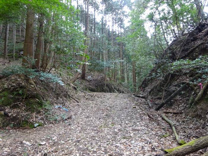 丹波市市島町/虚空蔵山