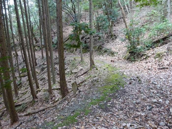 丹波市市島町/虚空蔵山