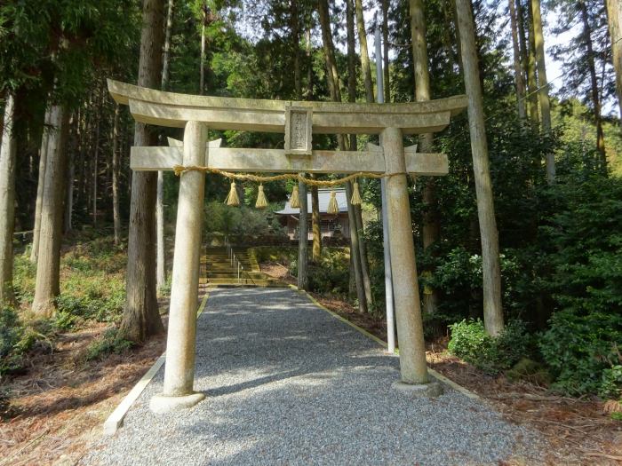 丹波市氷上町/弘浪山