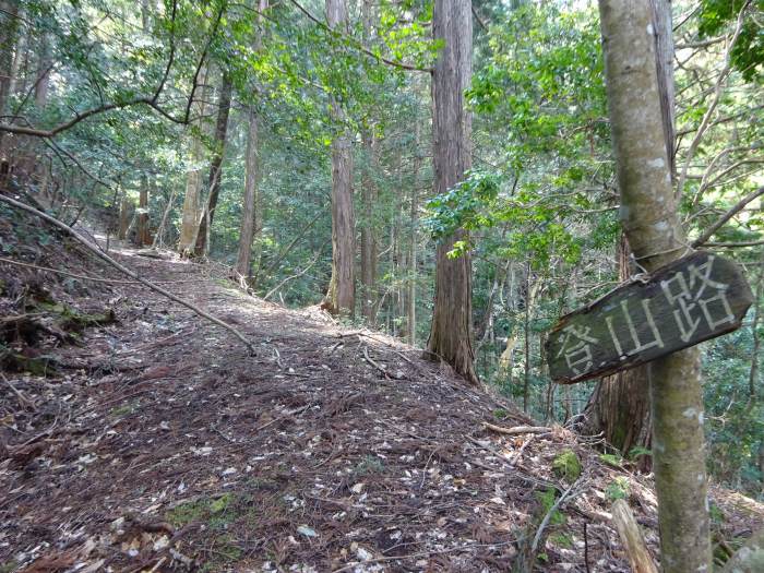 丹波市氷上町/弘浪山