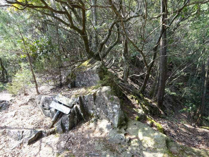 丹波市氷上町/弘浪山