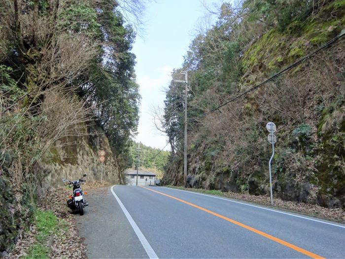 丹波市氷上町/弘浪山