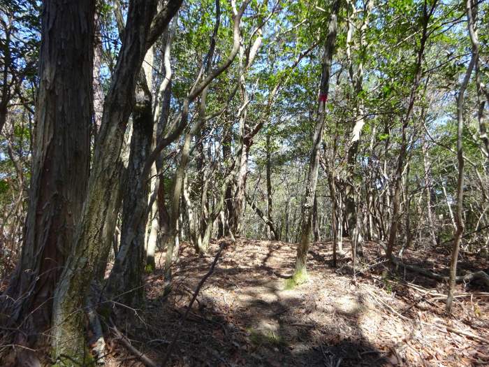 三田市波豆川/行者山～昼ヶ岳～鳥飼山