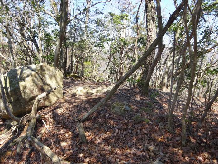 三田市波豆川/行者山～昼ヶ岳～鳥飼山