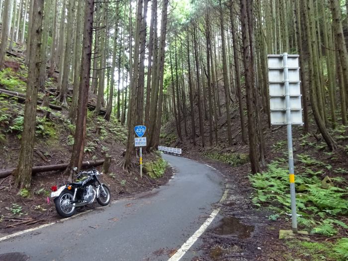 福知山市字上野条/三岳山