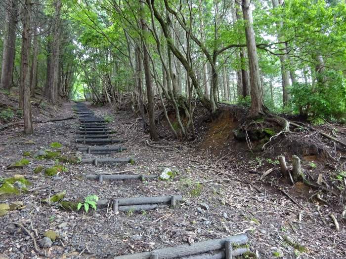 福知山市字上野条/三岳山