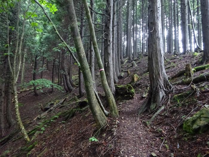 福知山市字上野条/三岳山