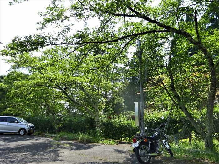 舞鶴市字多祢寺/多祢山