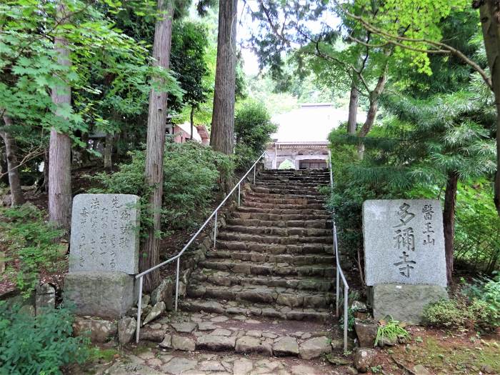 舞鶴市字多祢寺/多祢山