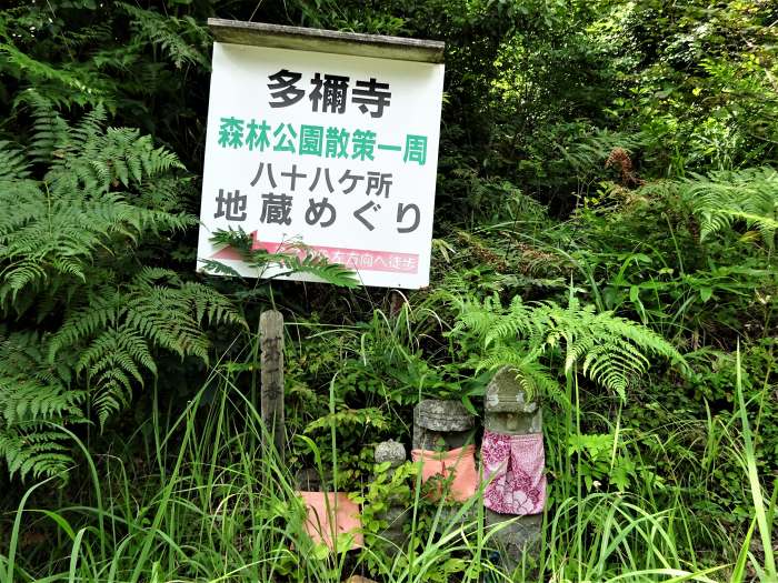 舞鶴市字多祢寺/多祢山