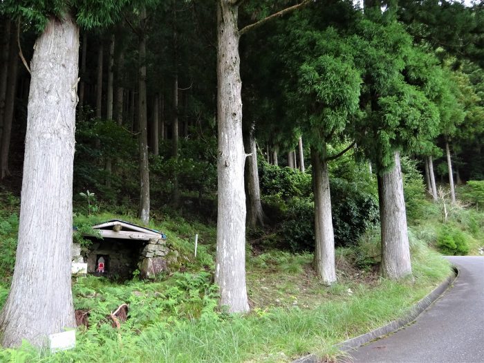 多可郡多可町加美区/マタニ山