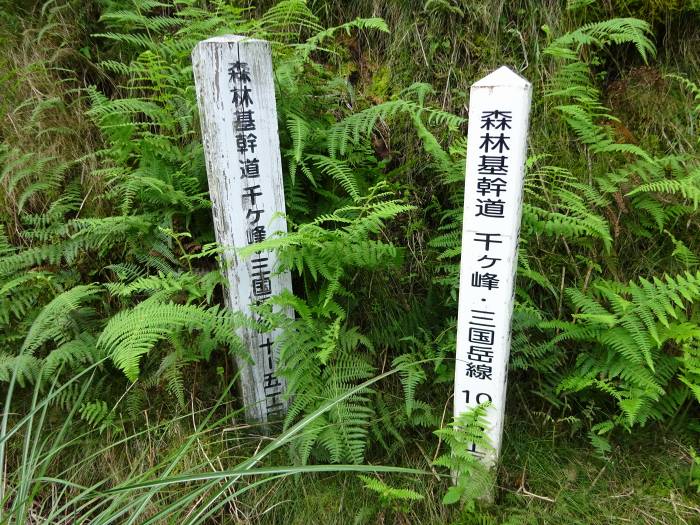 多可郡多可町加美区/マタニ山