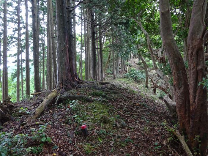 多可郡多可町加美区/マタニ山