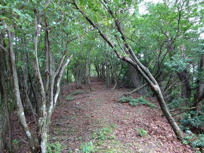 多可郡多可町加美区/マタニ山