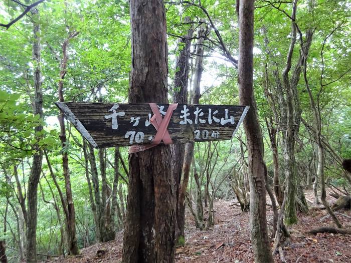 多可郡多可町加美区/マタニ山