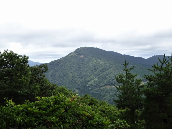 多可郡多可町加美区/マタニ山