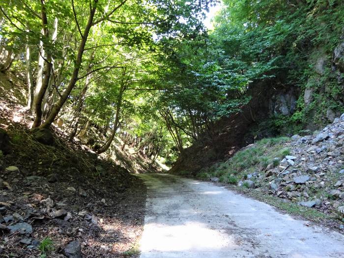 宍粟市波賀町/戸倉峠～養父市尾崎/妙見山