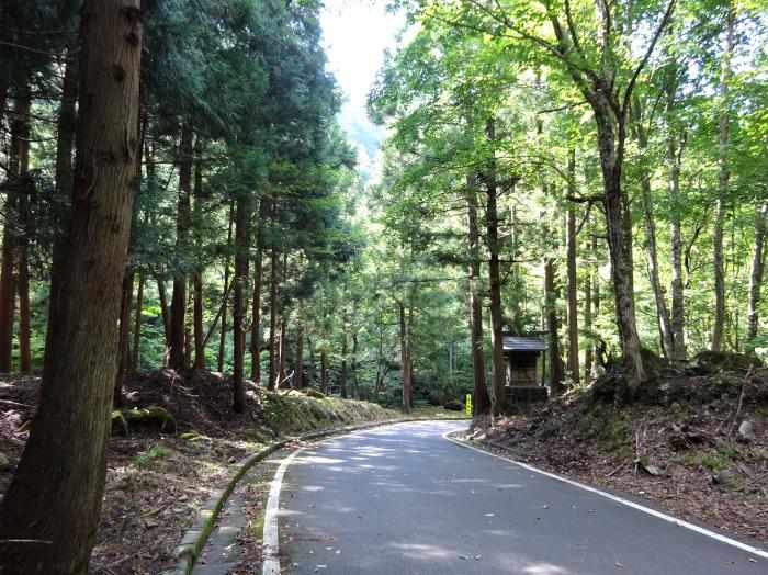 宍粟市波賀町/戸倉峠～養父市尾崎/妙見山