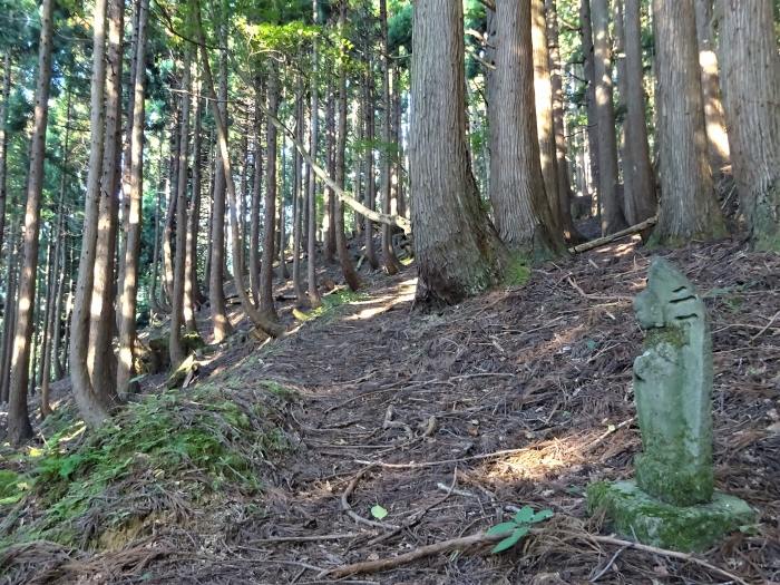 宍粟市波賀町/戸倉峠～養父市尾崎/妙見山