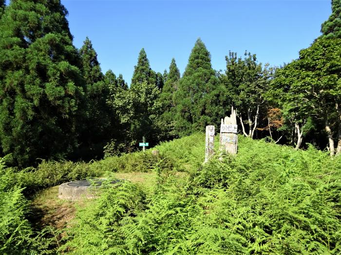 宍粟市波賀町/戸倉峠～養父市尾崎/妙見山