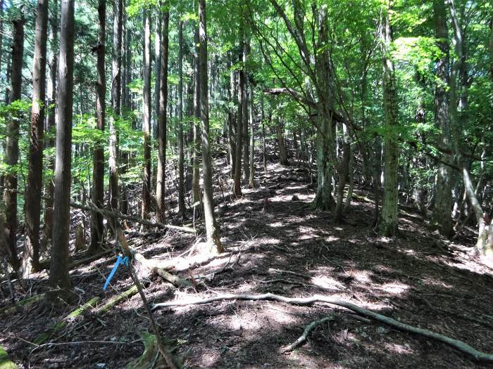 綾部市於与岐町/弥仙山