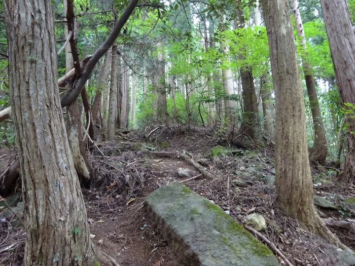 福井県大飯郡高浜町/青葉山