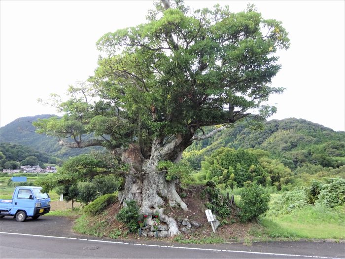 福井県大飯郡高浜町/青葉山