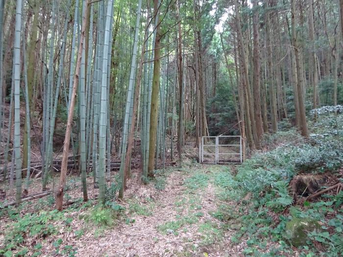 兵庫県丹波市山南町/山本薬師堂・応地坂峠～氷上町/白山