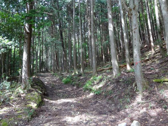 兵庫県丹波市山南町/山本薬師堂・応地坂峠～氷上町/白山