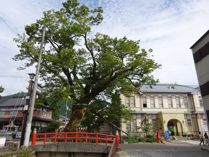 兵庫県丹波市山南町/山本薬師堂・応地坂峠～氷上町/白山