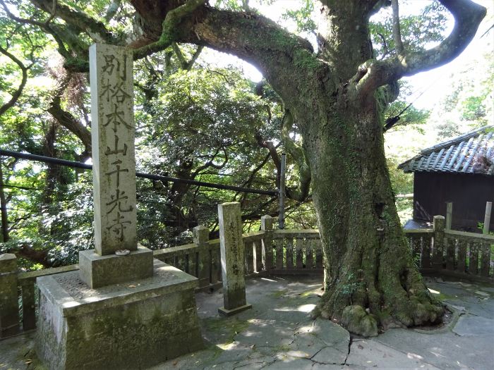 兵庫県南あわじ市灘黒岩/諭鶴羽山