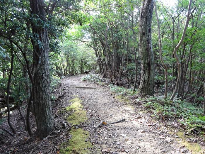 兵庫県南あわじ市灘黒岩/諭鶴羽山