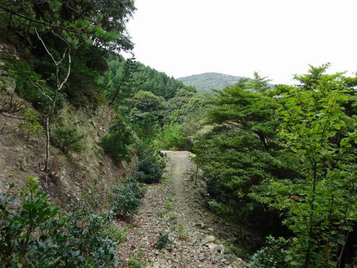 兵庫県南あわじ市灘黒岩/諭鶴羽山