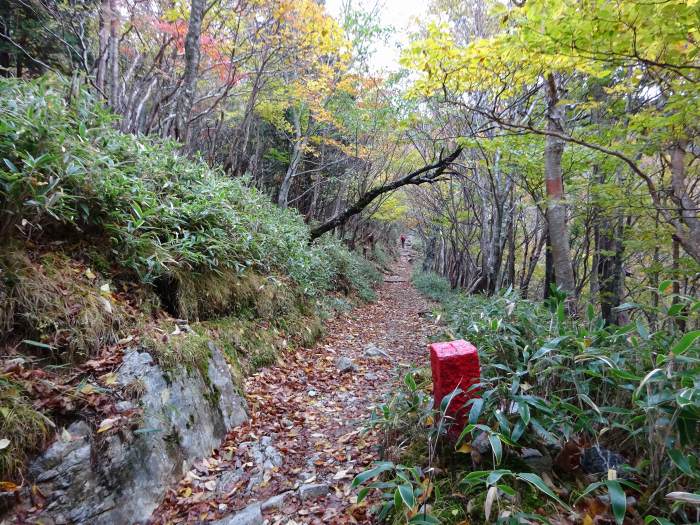 四国八十八札所第1番～第23番巡拝と剣山登山の車中泊旅