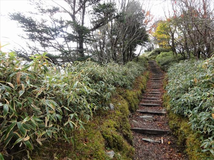 四国八十八札所第1番～第23番巡拝と剣山登山の車中泊旅