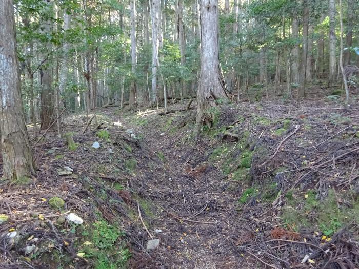 多紀四国八十八ヶ所霊場を調査しつつ丹波篠山市辻の南山城跡を散策