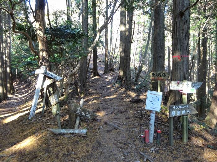 多紀四国八十八ヶ所霊場を調査しつつ丹波篠山市大山の金山を散策