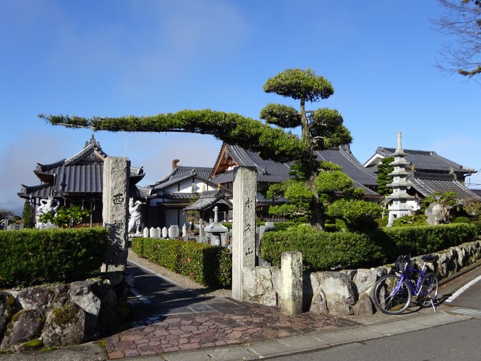 多紀四国八十八ヶ所霊場を調査しつつ丹波篠山市谷山の谷山城跡を散策