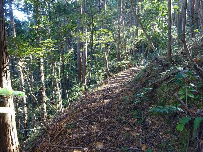 多紀四国八十八ヶ所霊場を調査しつつ丹波篠山市谷山の谷山城跡を散策