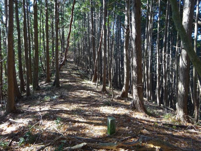 多紀四国八十八ヶ所霊場を調査しつつ丹波篠山市谷山の谷山城跡を散策