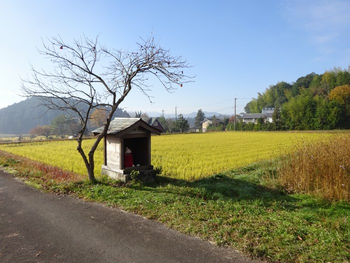 多紀四国八十八ヶ所霊場を調査しつつ丹波篠山市火打岩の御嶽を散策