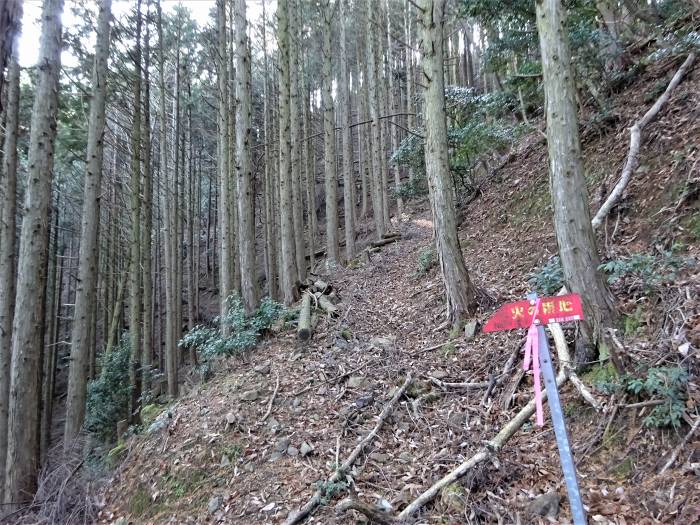 多紀郡四国八十八ヶ所霊場を調査しつつ白髪岳･松尾山を散策