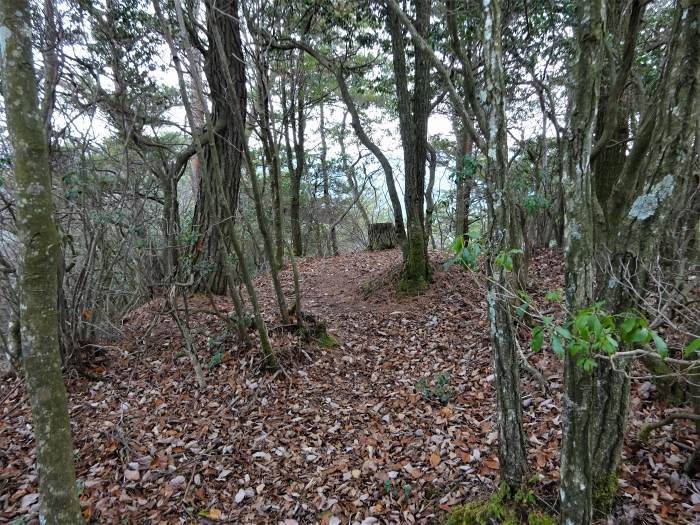 多紀郡四国八十八ヶ所霊場を調査しつつ丹波篠山市小原/八ヶ尾山を散策