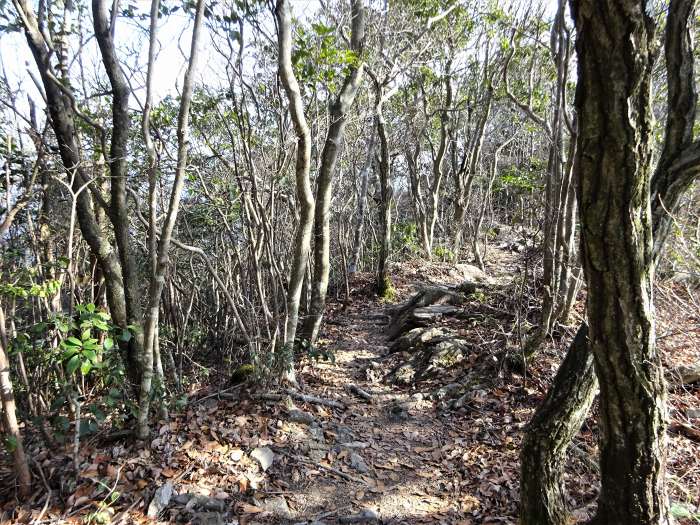 多紀郡四国八十八ヶ所霊場を調査しつつ丹波篠山市今田町上立杭/虚空蔵山を散策