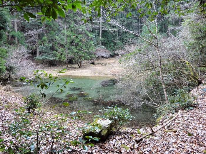 多紀郡四国八十八ヶ所霊場を調査しつつ丹波篠山市/音羽山を散策