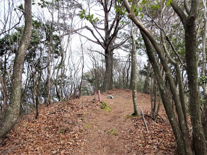 多紀郡四国八十八ヶ所霊場を調査しつつ丹波篠山市/音羽山を散策