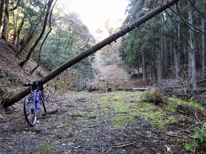 兵庫県丹波篠山市火打岩/小金ヶ嶽と岩門を散策