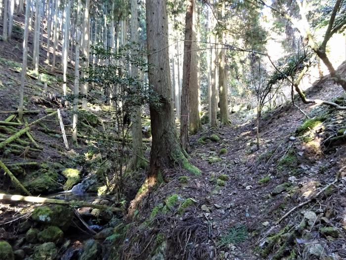 兵庫県丹波篠山市火打岩/小金ヶ嶽と岩門を散策